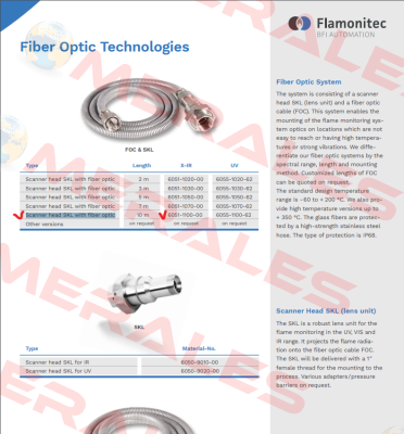 6051-1100-00 BFI AUTOMATION